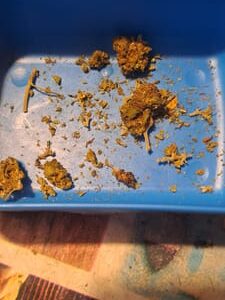 Customer review Minibud Premium Superskunk with photo - Spliff