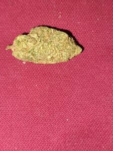 Customer review Super Lemon Haze with photo - Spliff