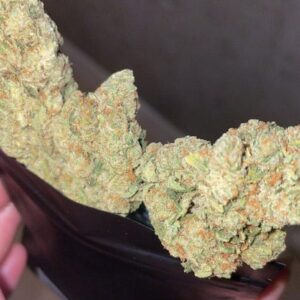 Customer review Amnesia with photo - Spliff