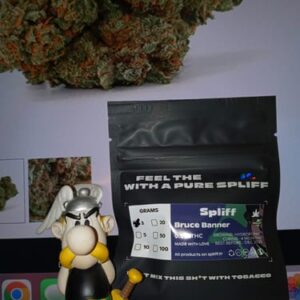 Customer review Bruce Banner with photo - Spliff