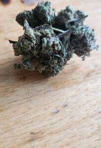 Customer review Minibud Premium Superskunk with photo - Spliff