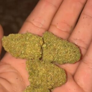 Customer review Gelato with photo - Spliff