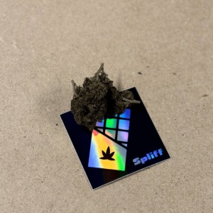 Customer review Gorilla Glue with photo - Spliff