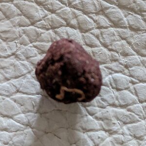 Customer review Libanais Rouge with photo - Spliff
