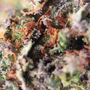 Dutch Grandma – Spliff CBD flower, photo 2