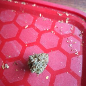Customer review Gelato 33 with photo - Spliff