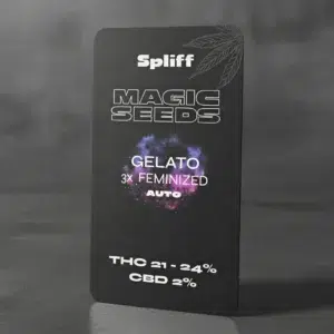 Gelato Auto – Spliff cannabis seeds, photo 2