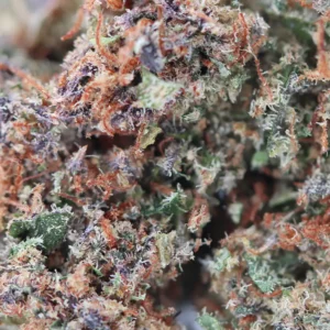 Spliff Jack Herer CBD Macro