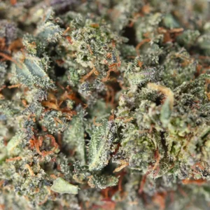 OG Kush – Spliff THCX flower, close-up