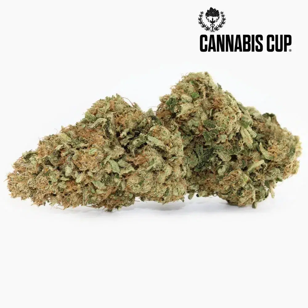 Dark Saphir – Spliff CBD flower