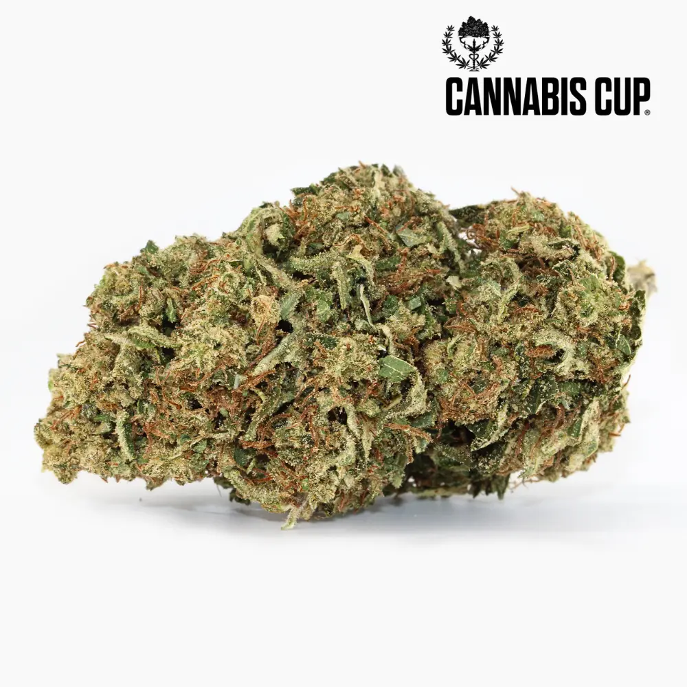 Dream Diesel – Spliff CBD flower
