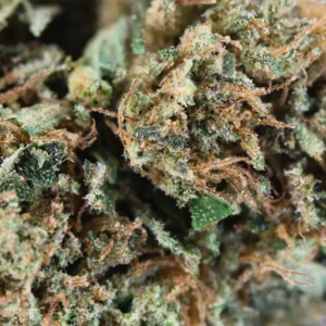 Dark Saphir – Spliff CBD flower, close-up