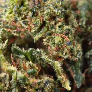 Sour Diesel – Spliff THCX flower, close-up