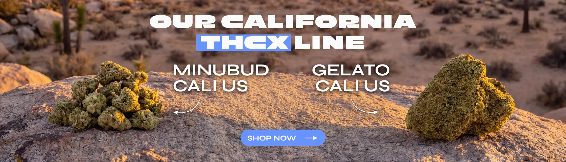 Cali THCX Spliff