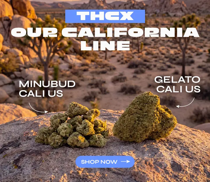 Cali THCX Spliff