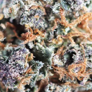 Mind Fucker – Spliff THCX flower, close-up