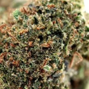 Banana Berry THCX 60% macro
