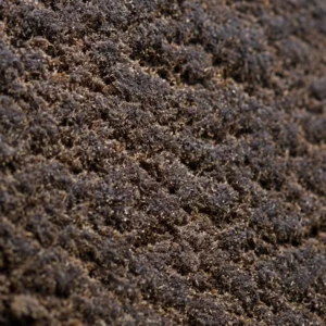 Macro shot of Afghan Hash 60% THCX, dry grain with amber highlights