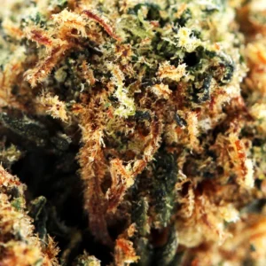 Blueberry Muffin THCX 60% – macro of trichomes and pistils