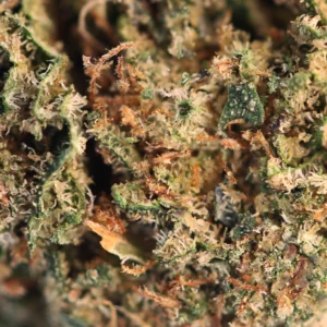 Cosmic Cookie CBD – macro of trichomes and pistils