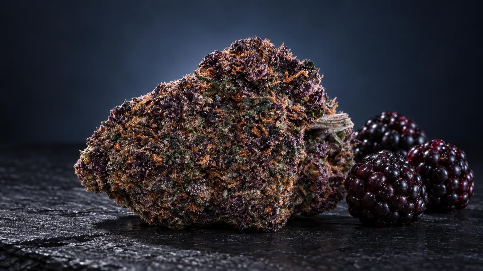 Dense cannabis flower bud with purple and brown hues next to dark berries, displayed on dark surface