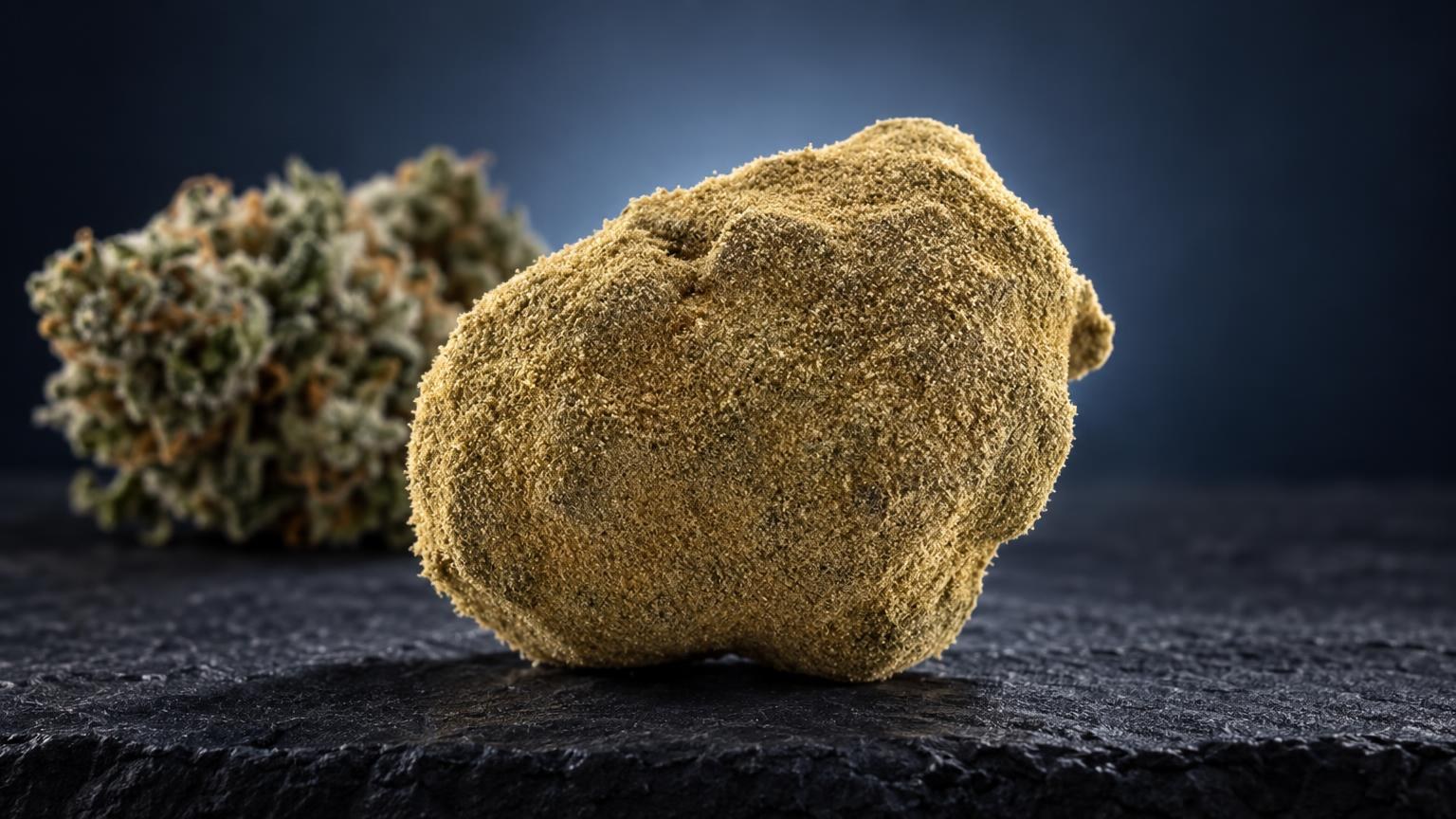 Golden, granular moon rock with crystalline texture next to dried flower buds, comparing HHC vs THC compounds