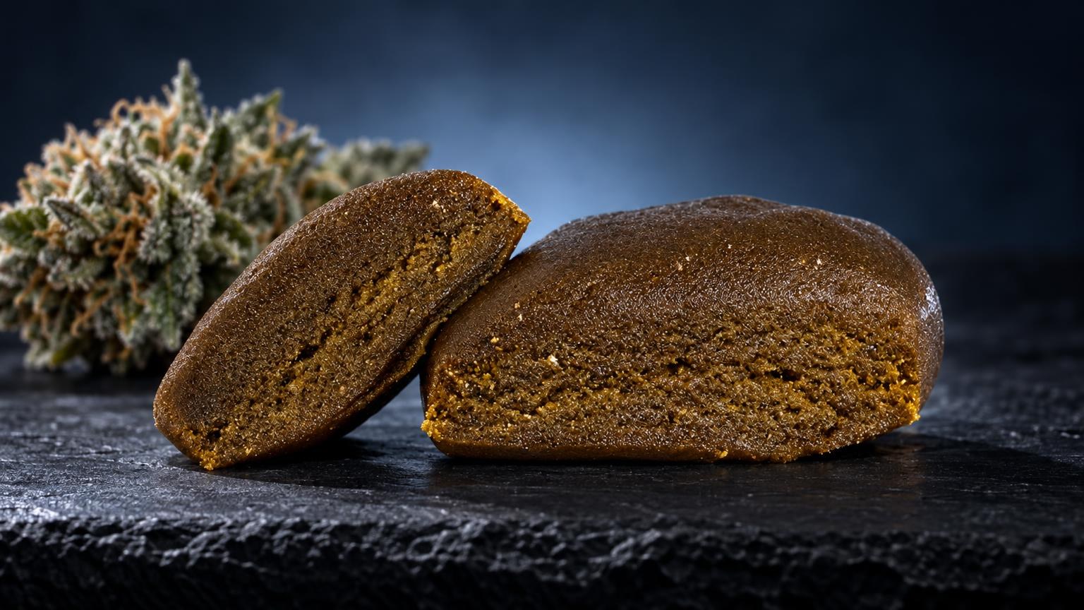 Tan-brown Ice O Lator hash with crumbly texture and golden cross-section, displayed next to fresh plant material