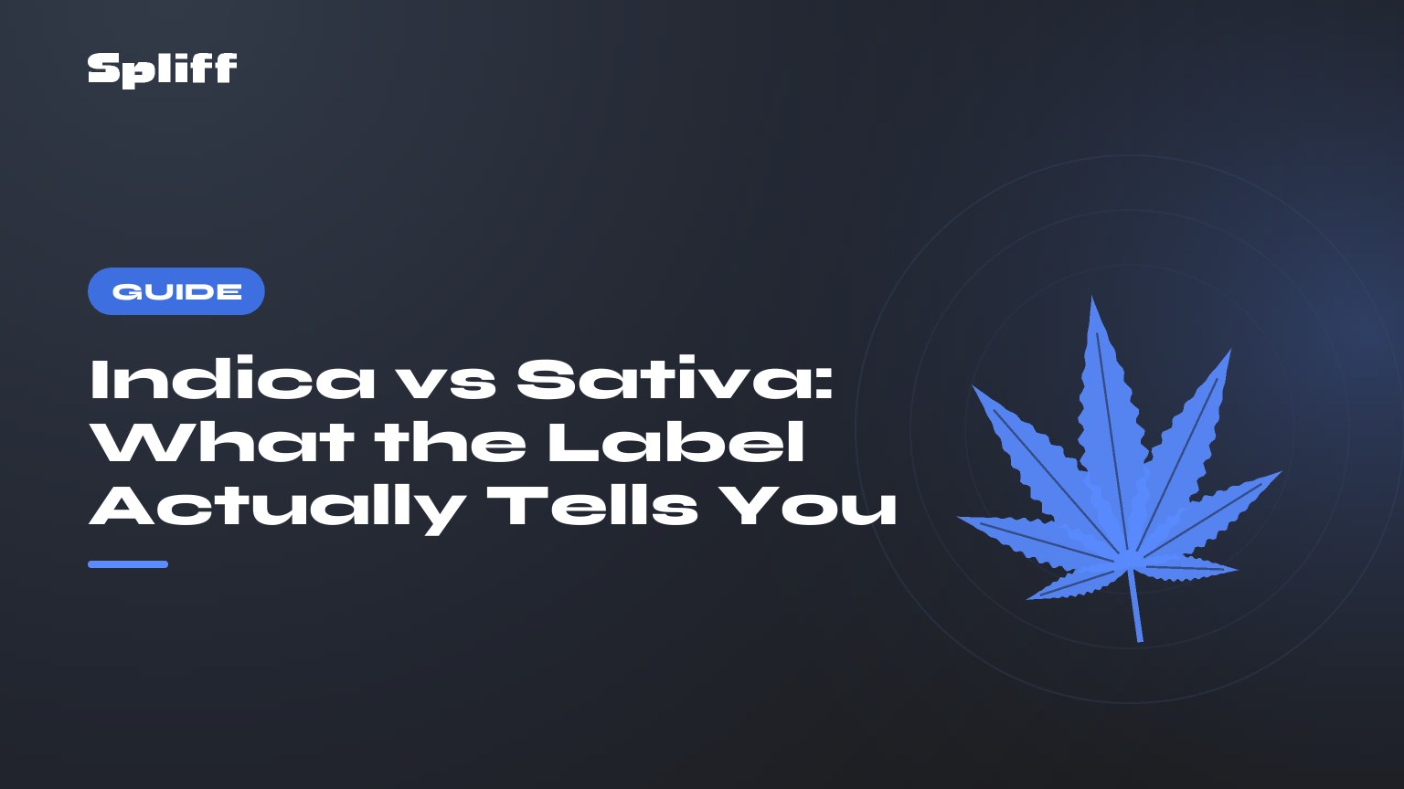 Indica vs Sativa: What the Label Actually Tells You — title on a dark background, stylised hemp leaf