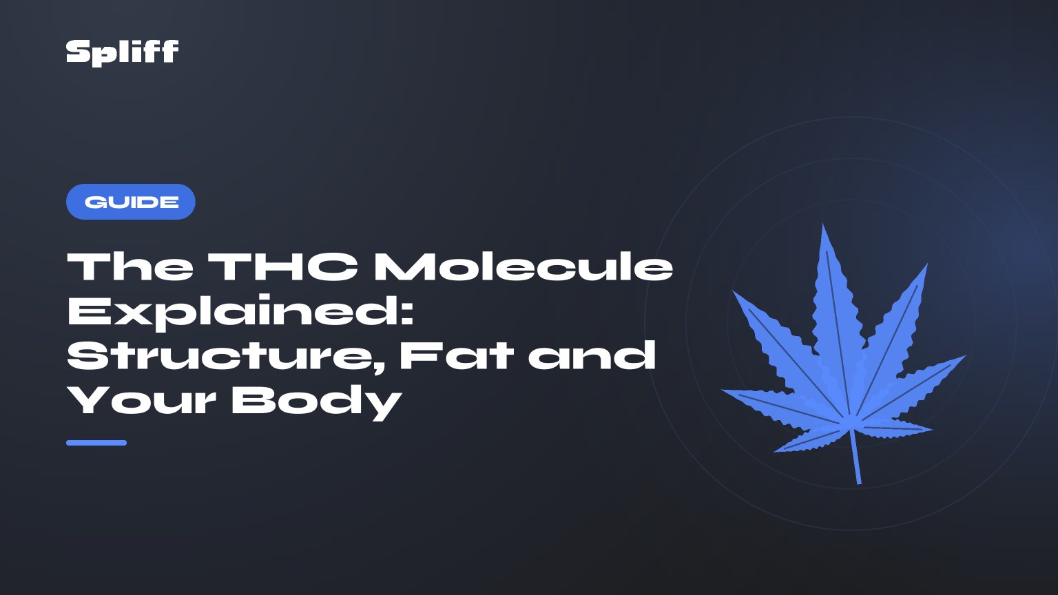 The THC Molecule Explained: Structure, Fat and Your Body (Molecule thc) — title on a dark background, stylised hemp leaf