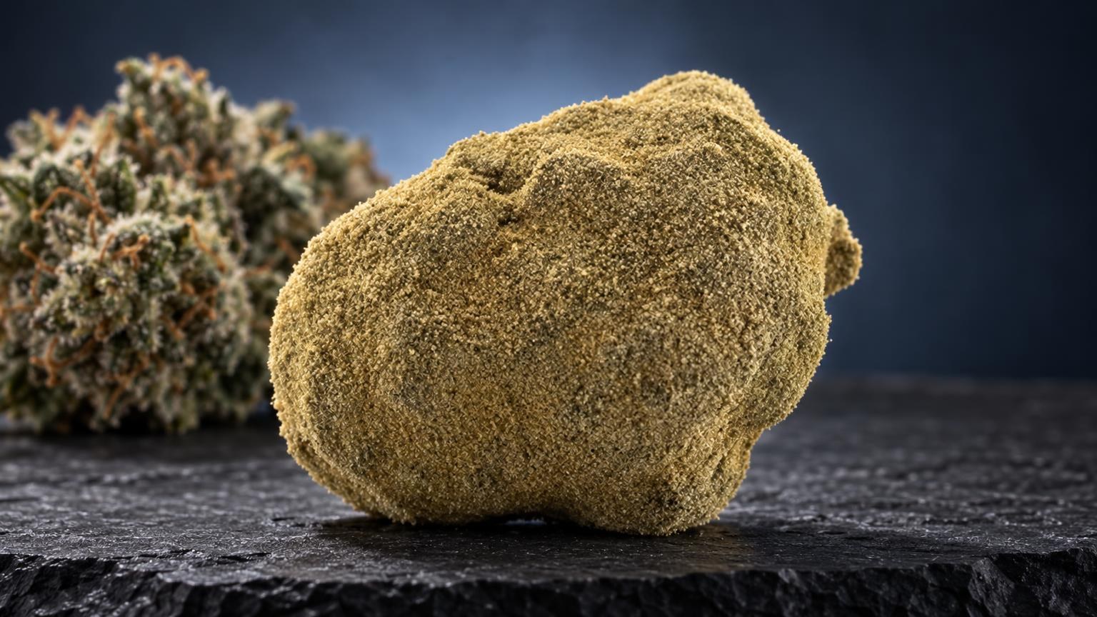 Moon Rock Weed: golden granular Moon Rock displayed on dark surface with similar specimens blurred in background