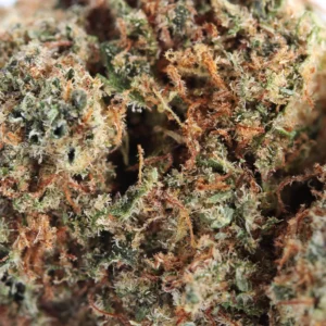 Plutonium CBD – macro of trichomes and pistils
