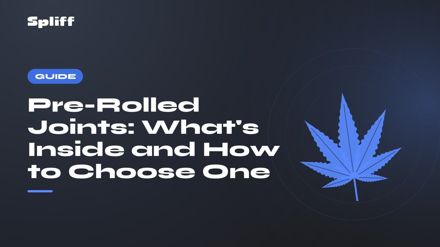 Pre-Rolled Joints: What's Inside and How to Choose One — title on a dark background, stylised hemp leaf