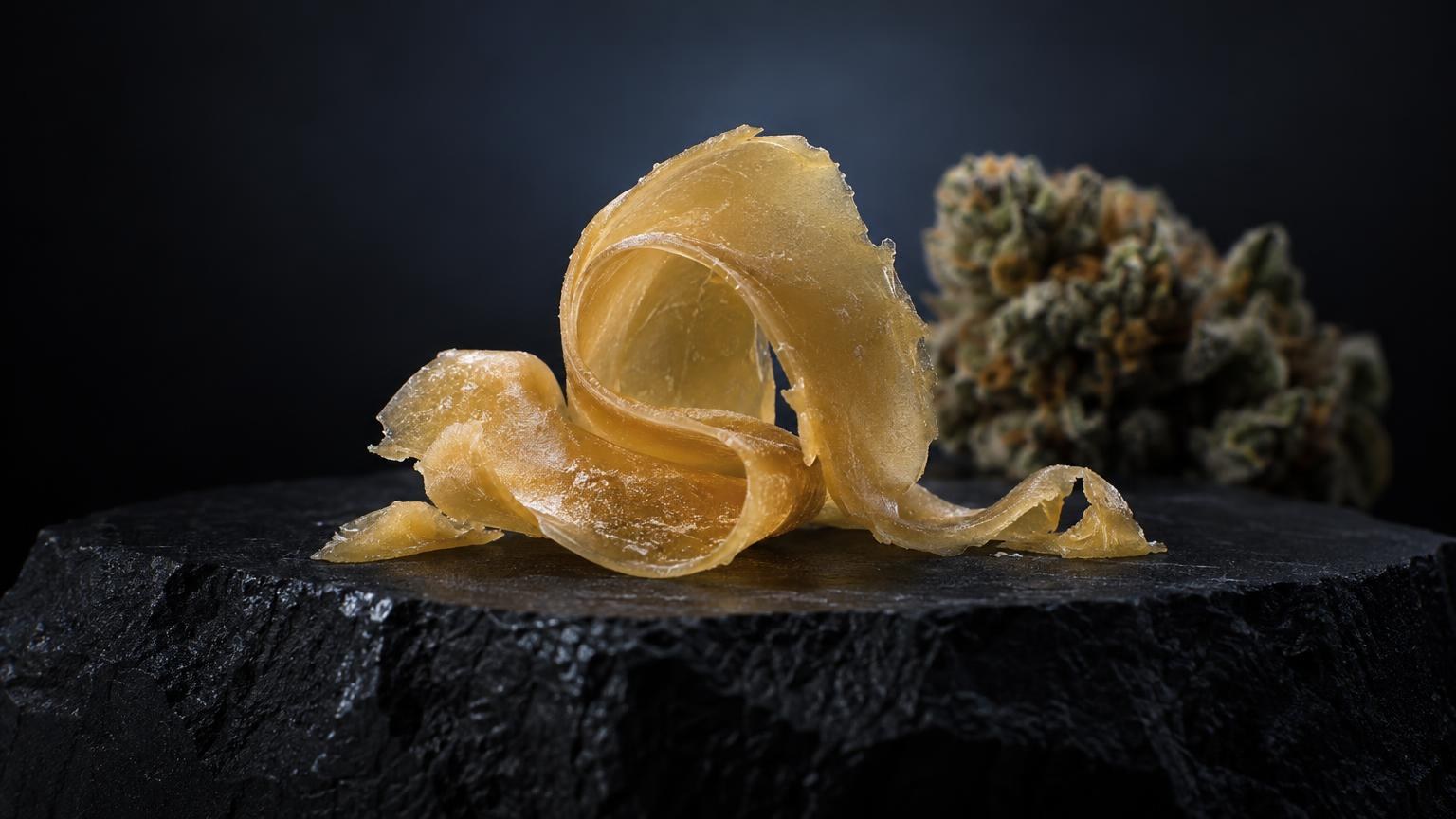 Golden translucent Rosin shards on dark stone surface, cannabis flower in background