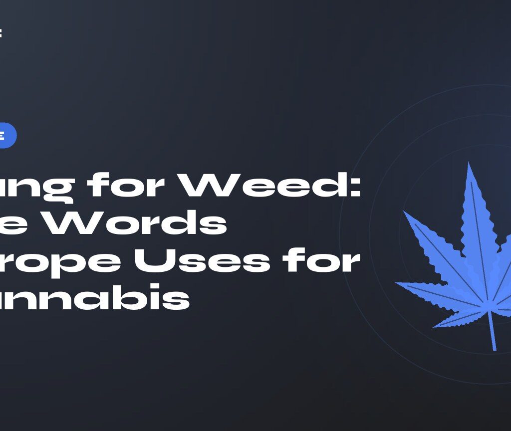 Slang for Weed: The Words Europe Uses for Cannabis — title on a dark background, stylised hemp leaf