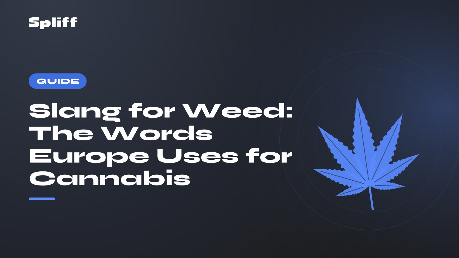 Slang for Weed: The Words Europe Uses for Cannabis — title on a dark background, stylised hemp leaf