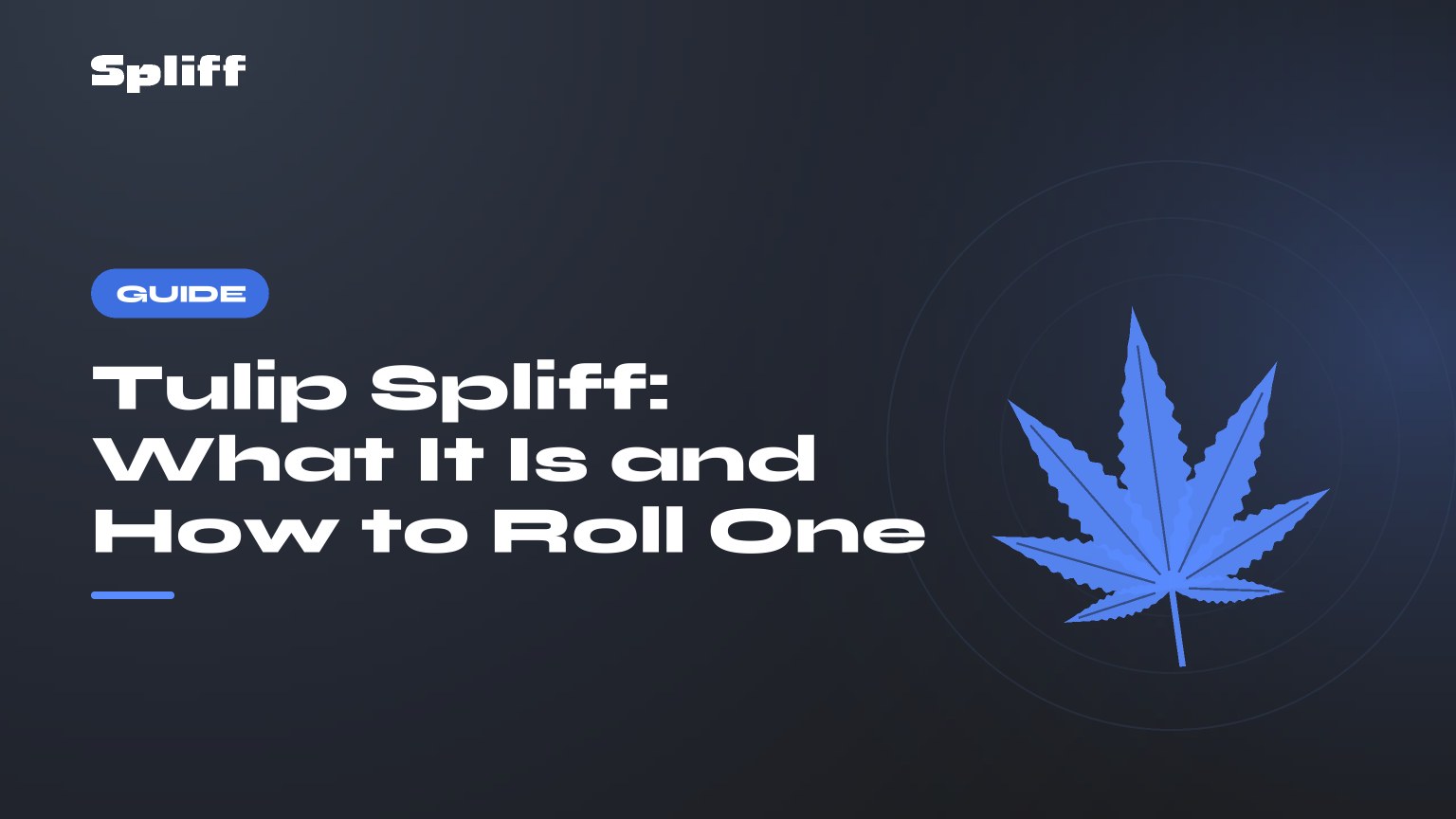 Tulip Spliff: What It Is and How to Roll One — title on a dark background, stylised hemp leaf