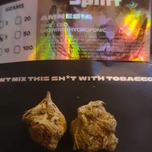 Customer review Amnesia with photo - Spliff
