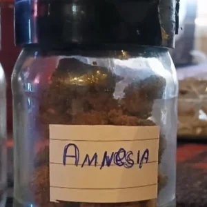 Customer review Amnesia with photo - Spliff