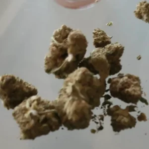 Customer review Bubble Gum with photo - Spliff