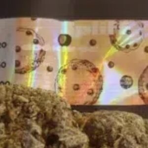 Customer review Cookie OG with photo - Spliff