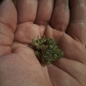 Customer review Dream Berry with photo - Spliff