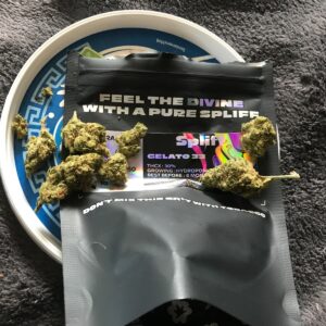 Customer review Gelato 33 with photo - Spliff