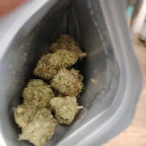 Customer review Gelato 33 with photo - Spliff