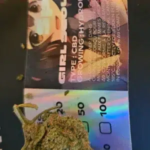 Customer review Girl Scout Cookies with photo - Spliff