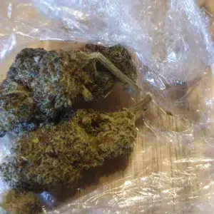 Customer review Gorilla Glue with photo - Spliff