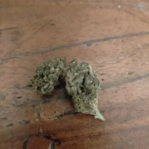 Customer review Ice Runtz USA with photo - Spliff