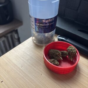 Customer review Ice Runtz USA with photo - Spliff