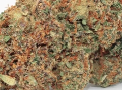 Customer review Jack Herer with photo - Spliff