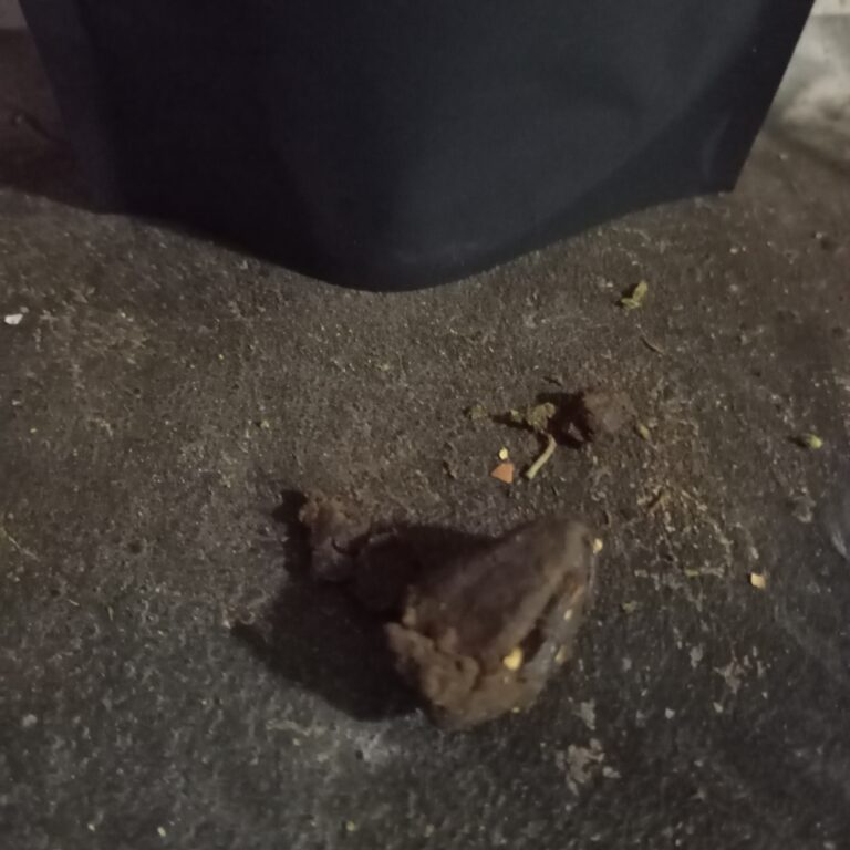 Click to view full screen Customer review Kashmir Hash with photo - Spliff