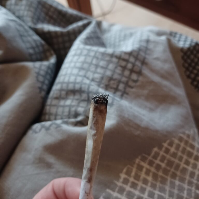 Click to view full screen Customer review Lemon Kush Pop with photo - Spliff